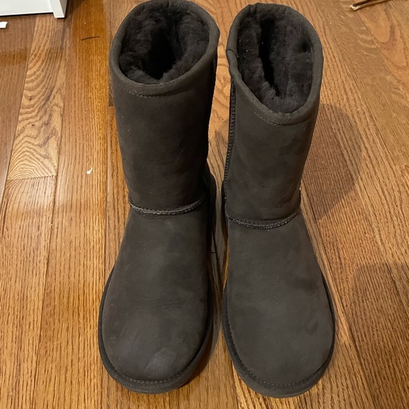 Brown Classic UGGS! 5 - Picture 3 of 6